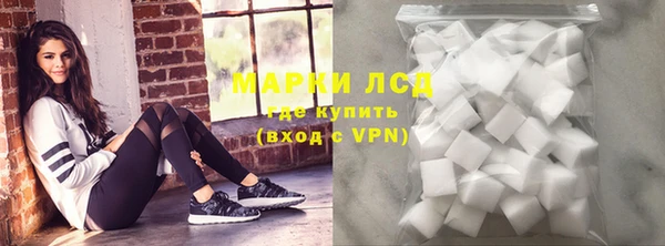 гашик Липки