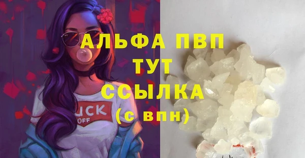 гашик Липки