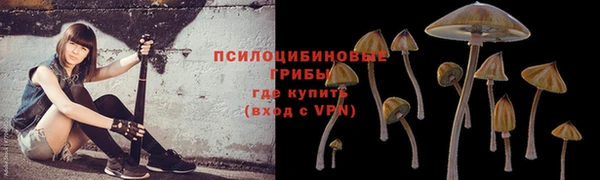 соль курить ск Лихославль