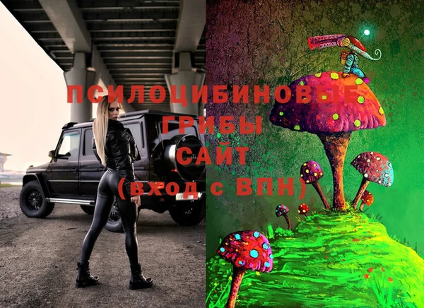 2c-b Лиски