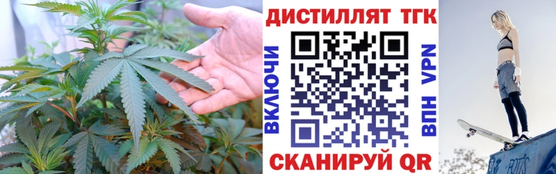 кракен как войти  Пудож  Дистиллят ТГК THC oil  купить наркоту 